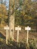 11linnich003.jpg