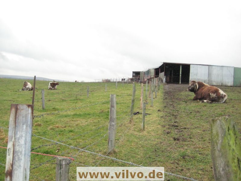 12NEU063.jpg