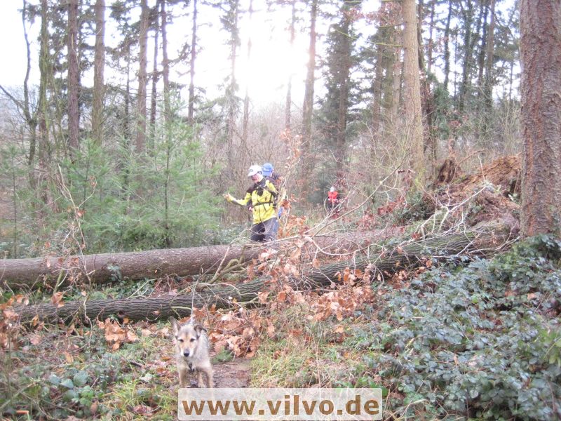 12NEU068.jpg