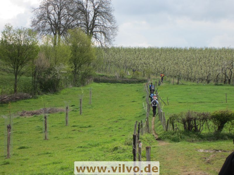 12limburg05.jpg