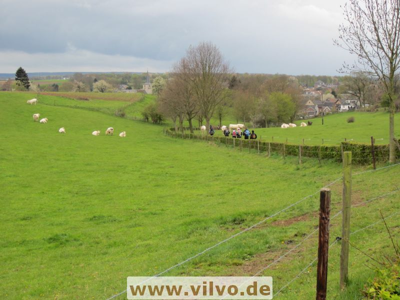 12limburg06.jpg
