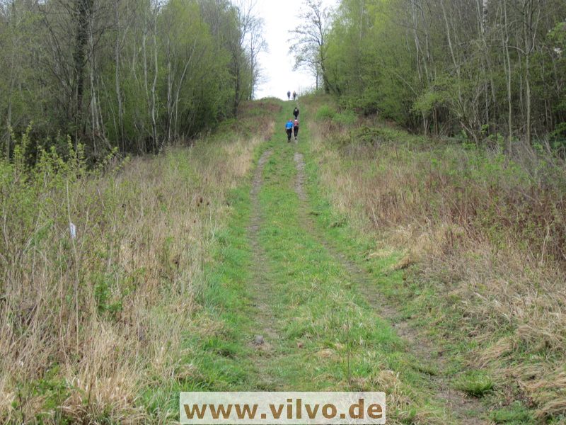 12limburg14.jpg