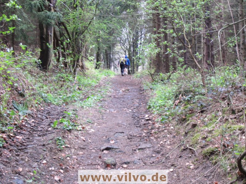 12limburg16.jpg