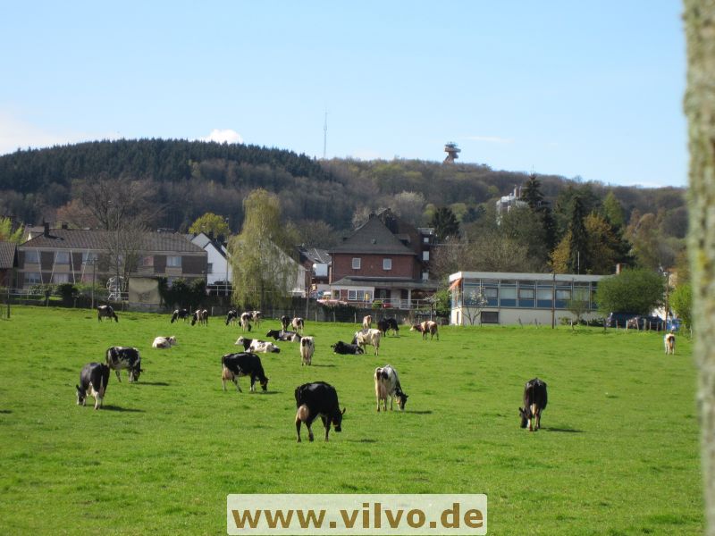 12limburg17.jpg