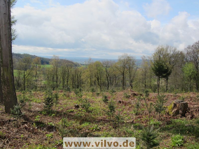 12limburg19.jpg