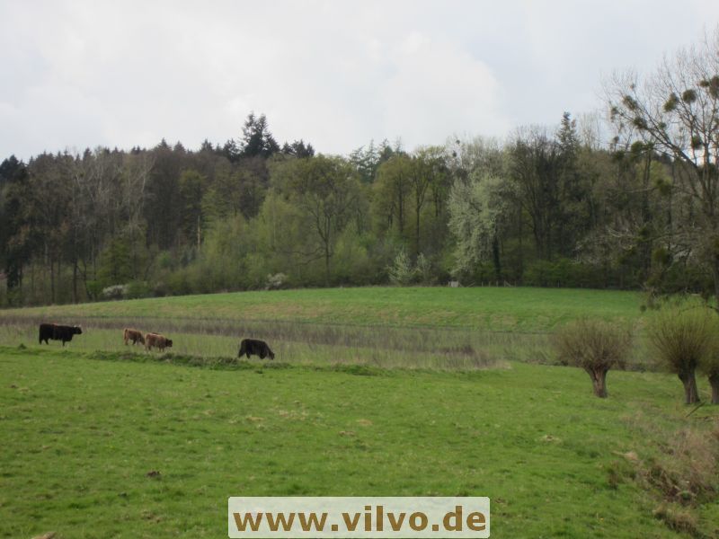12limburg23.jpg