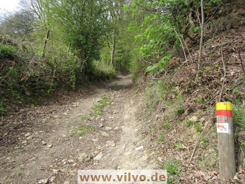 12limburg25.jpg