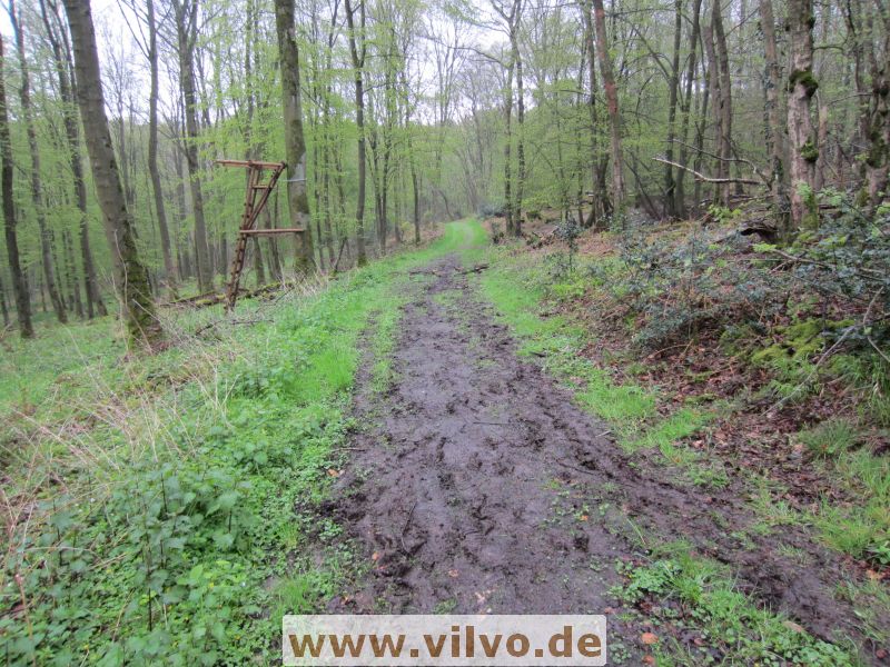 12limburg26.jpg
