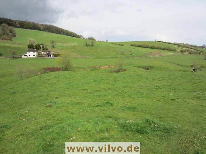 12limburg35.jpg