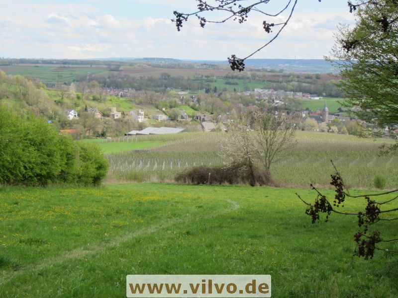 12limburg38.jpg
