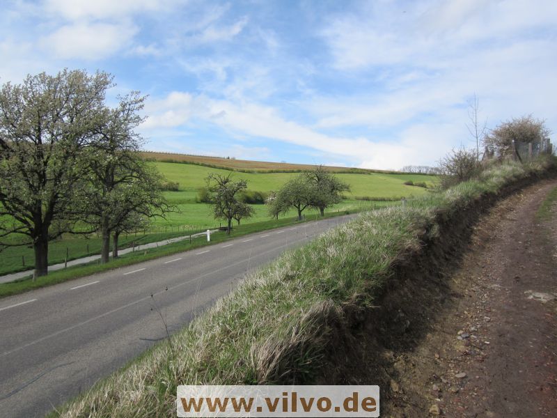 12limburg39.jpg