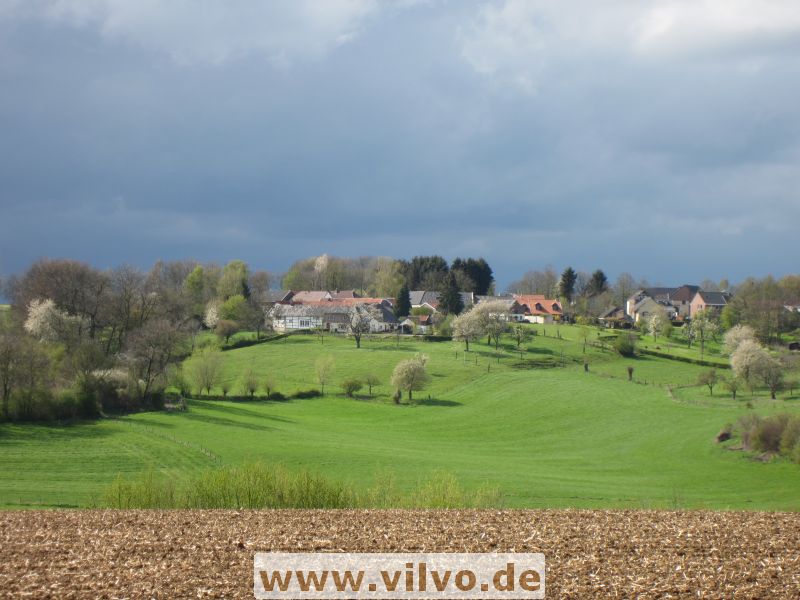 12limburg40.jpg