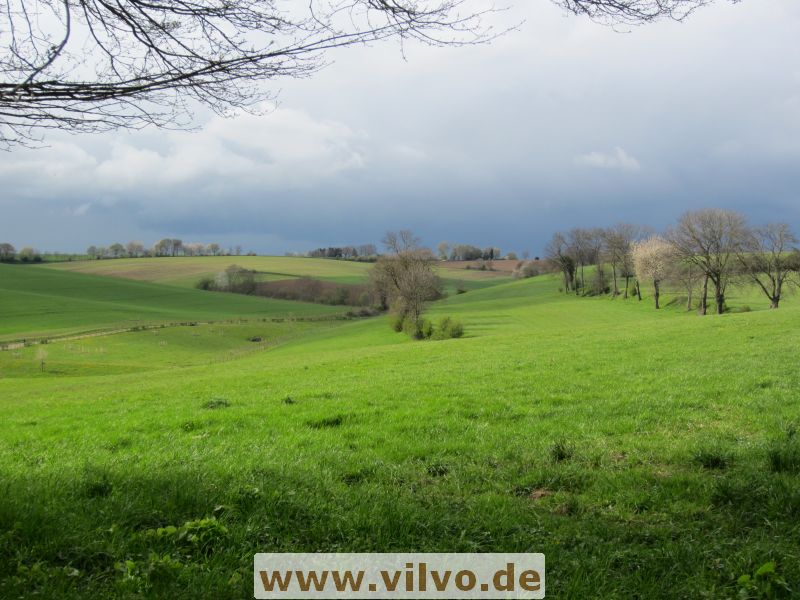 12limburg41.jpg