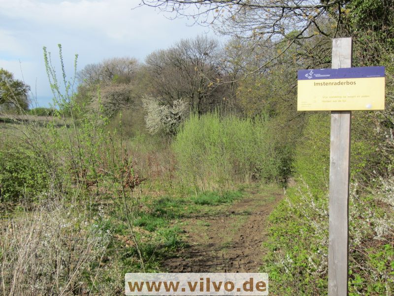 12limburg44.jpg