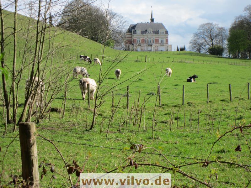 12limburg46.jpg