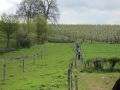 12limburg05.jpg
