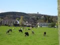 12limburg17.jpg