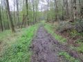 12limburg26.jpg