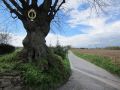 12limburg29.jpg