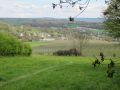 12limburg38.jpg
