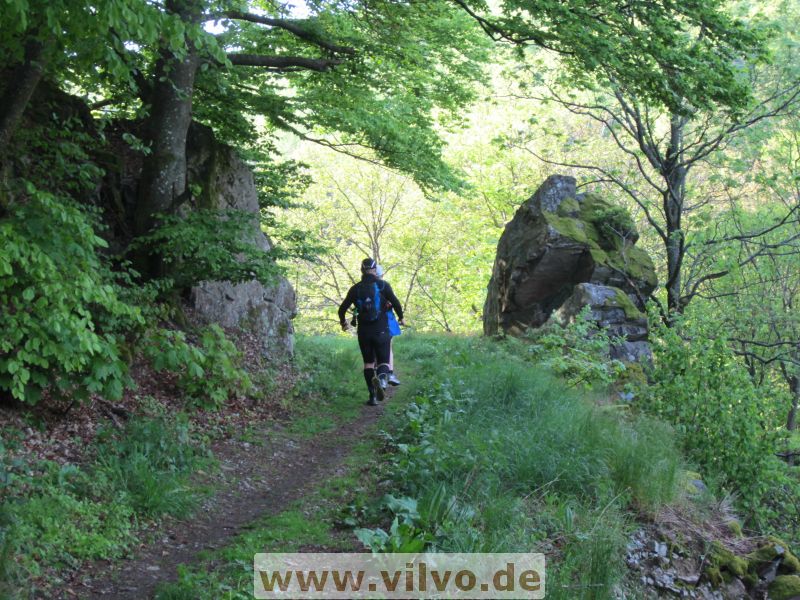 12shst1_14.jpg 12shst1_14.jpg