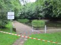 12bosselbach039.jpg