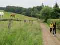 12bosselbach046.jpg