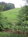 12bosselbach050.jpg