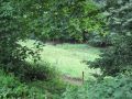 12bosselbach054.jpg
