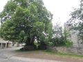 12eicherscheid065.jpg