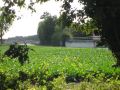 12hambach046.jpg