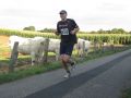 12hambach104.jpg