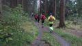 12pussy-run-2.0003.jpg