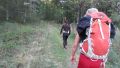 12pussy-run-2.0089.jpg