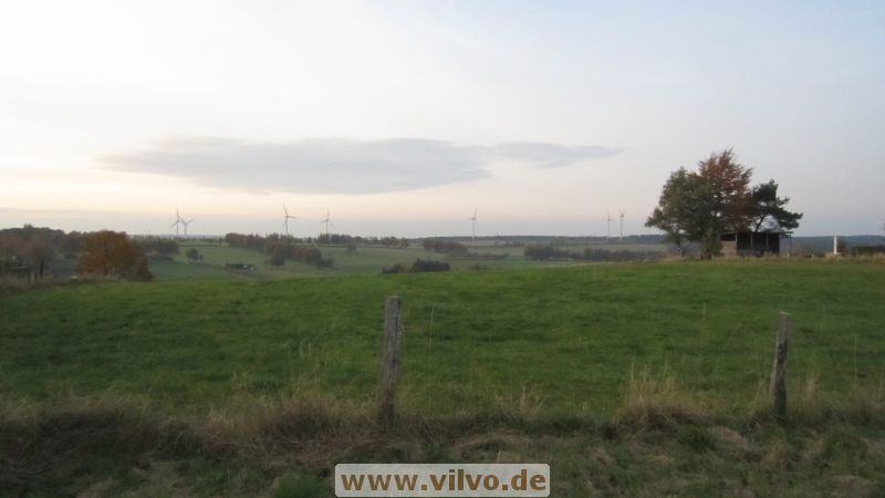12steckenborn07.jpg
