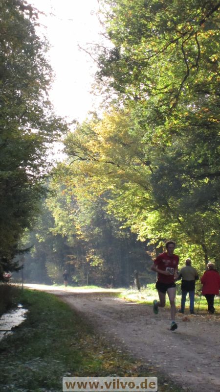 12hambach-wald01.jpg