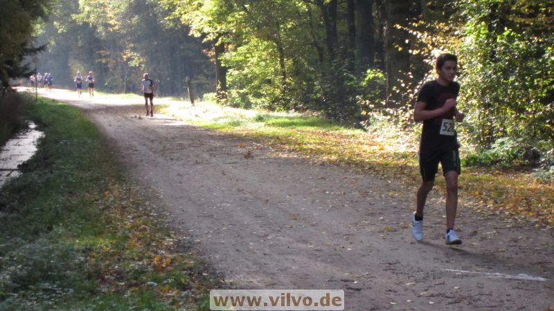 12hambach-wald03.jpg