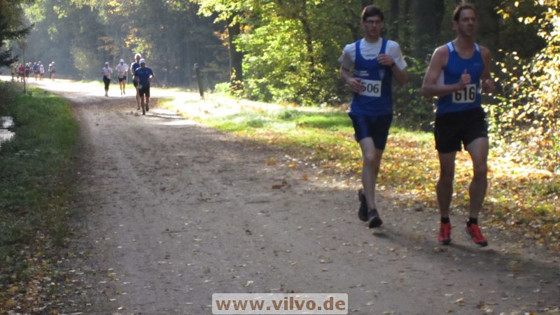 12hambach-wald04.jpg