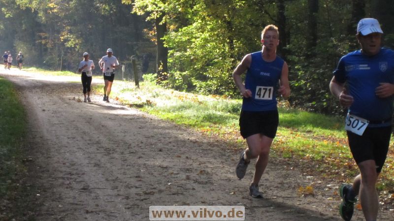 12hambach-wald05.jpg