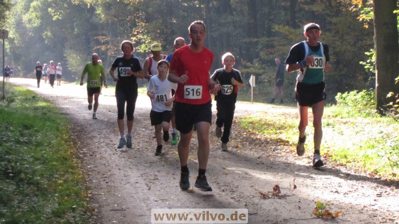 12hambach-wald06.jpg