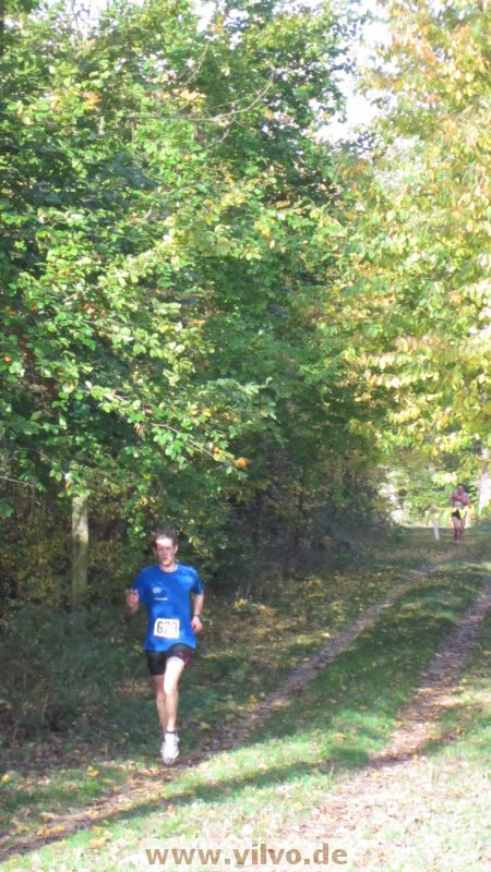 12hambach-wald11.jpg