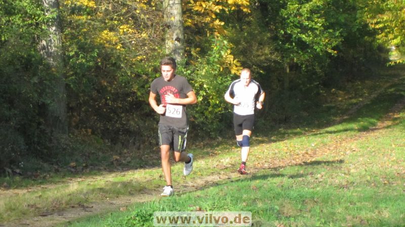 12hambach-wald13.jpg