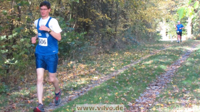 12hambach-wald14.jpg