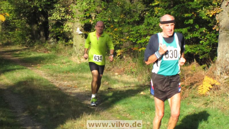 12hambach-wald17.jpg
