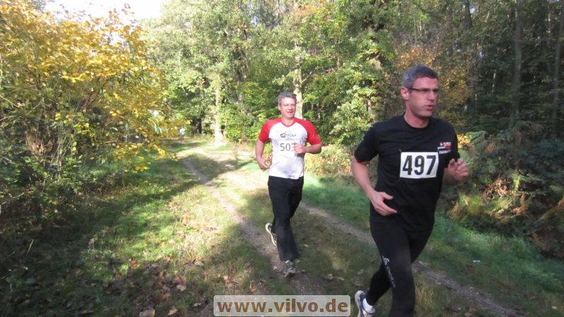 12hambach-wald19.jpg