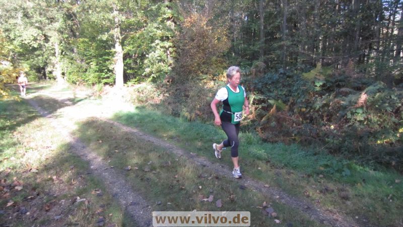 12hambach-wald20.jpg