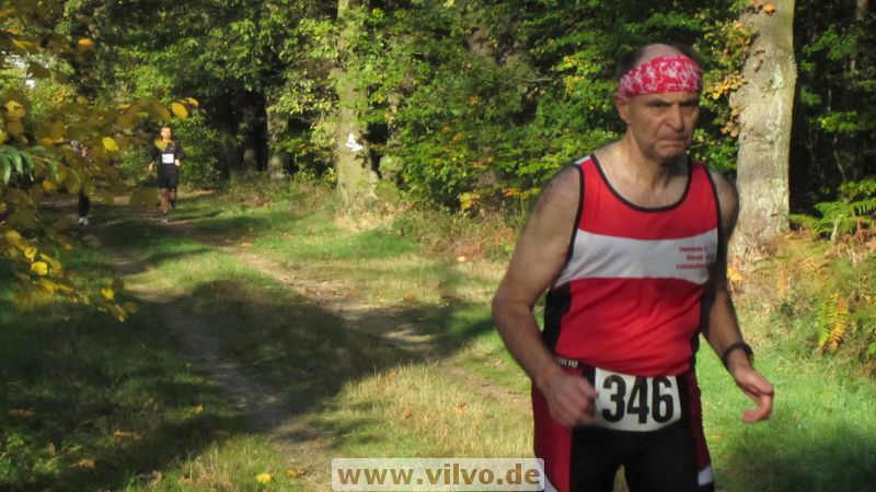 12hambach-wald21.jpg