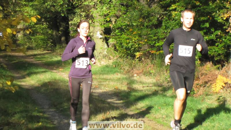 12hambach-wald22.jpg