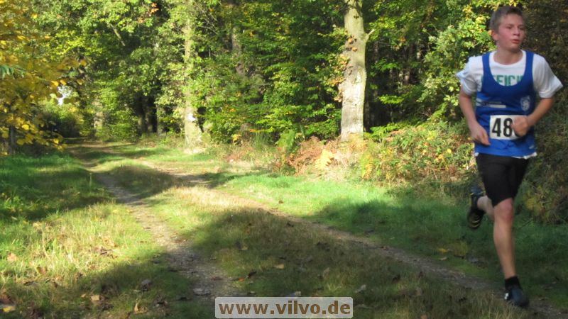 12hambach-wald23.jpg