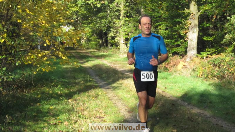 12hambach-wald24.jpg
